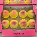 미황 | 프리미엄 미황 딱딱이 복숭아 (4kg, 8~10과)