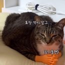 오락가락오락실