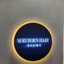 세리헤어 | [부평 미용실] 세리본헤어 두피관리 다녀온 후기~!