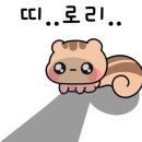 울릉에가면