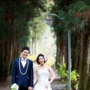 서귀포성결교회 이미지