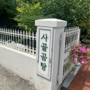도솔로 | 소나무풍경 대전곰탕맛집