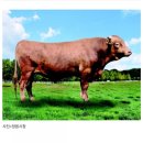 와우한우농장 이미지