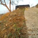 언덕농장 이미지