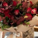 라벨라수 이미지