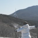 다송목장 이미지