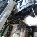 하이엔진 이미지