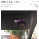 블리즈미