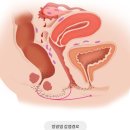 신기환 카카오 검색결과