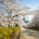 대중석유