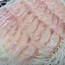 다금바리횟집 - 서귀포시 대청로 37 | 다금바리횟집