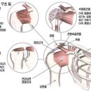마블핏 퍼스널트레이닝 스튜디오 이미지