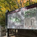 대한리 | 팔공산갓바위 아이와 함께한 등산코스 수능합격 기원 간절함으로 채운 발걸음