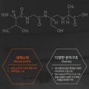 주식회사노바셀테크놀로지 이미지