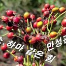 공물소 이미지