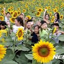 초천1리 이미지