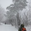 불감청이언정 고소원이었더라!.....(소백산) 이미지