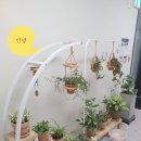 신도리코 디지텍정보 | 부산복합기 인테리어와 어울리는 삼성 x4225 설치 후기