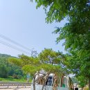 강인목장 이미지