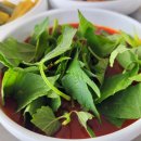 진동돌장어 이미지