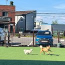 독플래닛 이미지