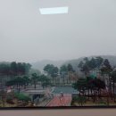 변호사김선진법률사무소 이미지