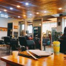 지노20000헤어 이미지