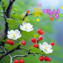 정남도서관 이미지
