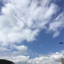 라떼홈즈
