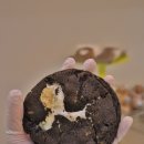 버터린베이커리 이미지