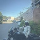 연산농로 | 우레시노 / 쿠마모토 투어링 박투어#2