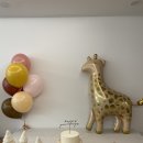 사라앤마르코 이미지