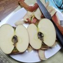 농산물 소개소 이미지