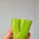 실용적인 에코플로 플라스틱화분으로 샐러리 대파 파테크 시작 후기