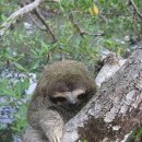 나비화장실 이미지