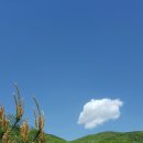 어느날성주 이미지