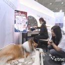 박지호 동물병원 이미지