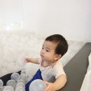 합정릴리펏 이미지