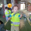 견학정미소 이미지