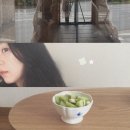 GIRL&BOY | 엔시티위시 NCTWISH 도쿄 프로필북 전달회 후기 - 260706, 『YO-I-DON! / BOY MEETS GIRL』