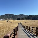 순천만습지 쉼터 화장실 이미지