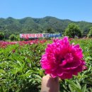 우아농장 이미지