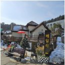 별이애견 이미지