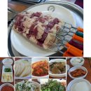 오리사냥 이미지