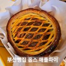 현대카멜리아,오뜨 | [빵지순례 부산편]MZ에게 핫한 부산 빵집 슈크림빵 내돈내산 솔직후기 옵스