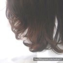 주열헤어