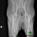 튼튼동물의료센터 이미지