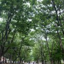 허준한의원 | 일산의 허준에게 산후보약지어 먹은 후기 ‘동천한의원’