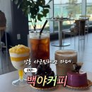 강릉 사근진해변 카페 백야커피 후기