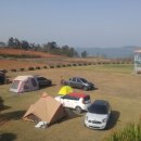 오시나래 이미지